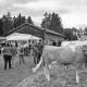 Fete-des-moissons-3_NB