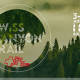 SCT-thumbnail