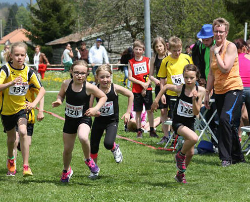 Le Vallon cherche ses meilleurs « ninjas »