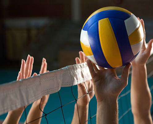 Rubrique_Volley