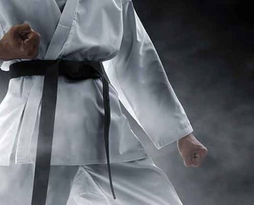 Rubrique Judo