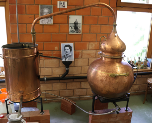absinthe-en-fete_12