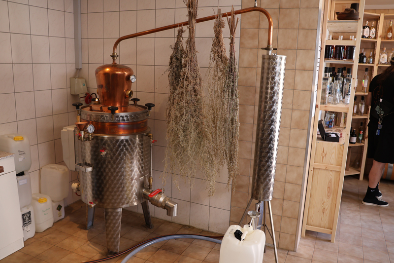 absinthe-en-fete_7