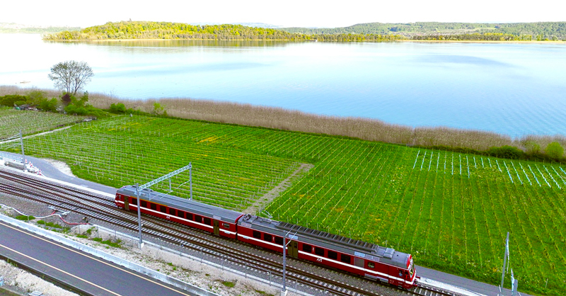 Ligerz_lac_de_Bienne_Ile_St-Pierre_RVTH