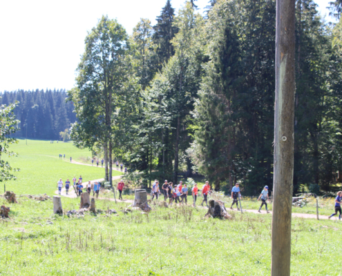 Retour au centre de course