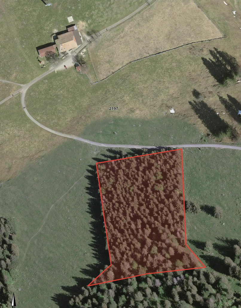 Plan coupe de bois