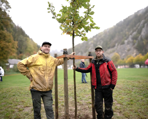 Le chêne planté samedi, encadré par les employés du service communal des forêts. © Mathieu Hofner / Commune de Val-de-Travers